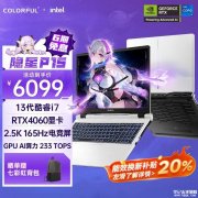 以旧换新能效补贴 七彩虹隐星P15笔记本(i7-13620H RTX4060 16G 512G）仅需4879.2元