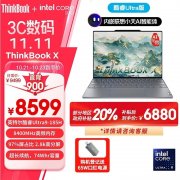 双十一大促+以旧换新补贴 ThinkPad ThinkBook X 2024（Ultra9 185H）仅需6979.2元